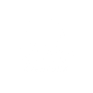 10.png