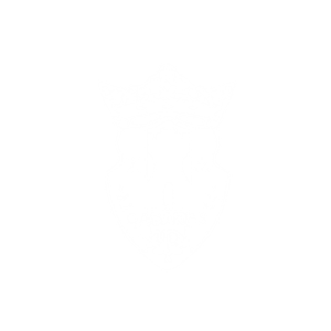 15.png