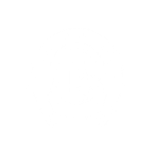 17.png