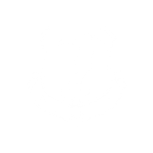 20.png
