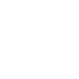 22.png
