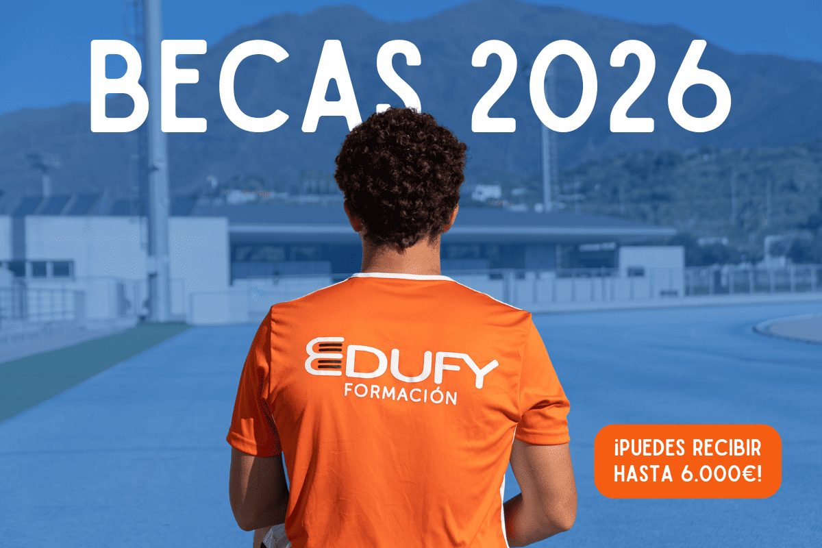 Becas y ayudas para estudiar FP en Andalucía: guía completa 2025/2026
