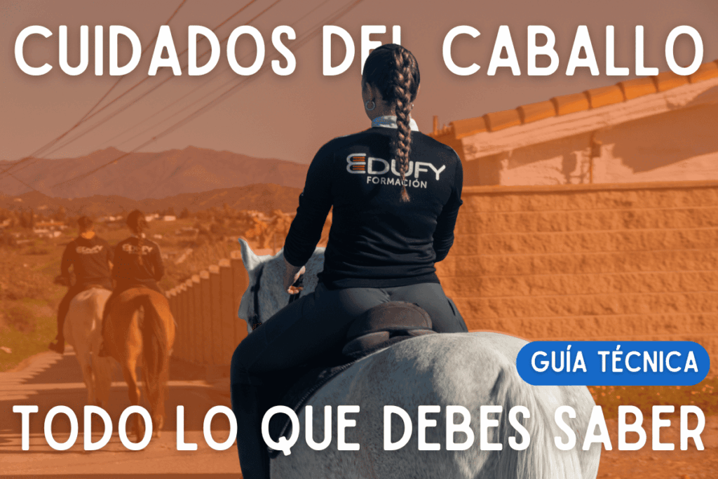 Principales cuidados del caballo: Guía técnica para el Técnico en Guía en el Medio Natural